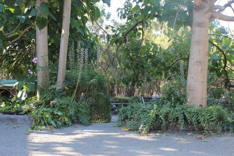 Avoca Park Equestrian Farmstay - Palm Beach Accommodation 2