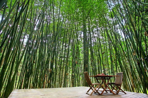 Azabu Retreat & Spa - Palm Beach Accommodation 1