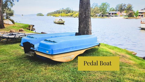 Aqua Adventures Retreat. Waterfront Playground - Palm Beach Accommodation 1