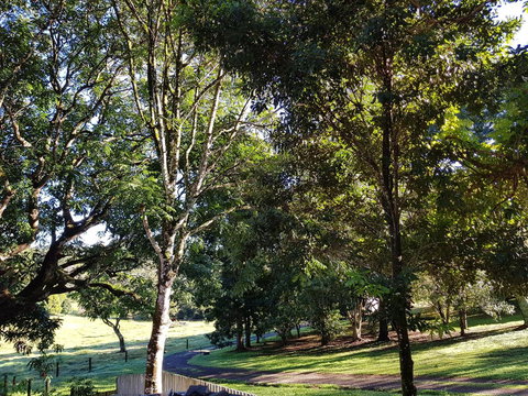 Bee-Haven Cottage - Palm Beach Accommodation 7