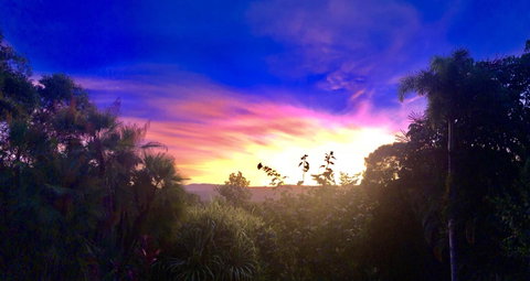 Daintree Manor B&B - Palm Beach Accommodation 3