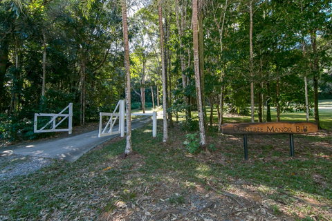Daintree Manor B&B - Palm Beach Accommodation 18