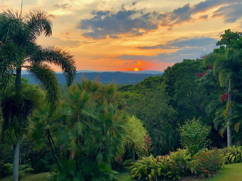 Daintree Manor B&B - Palm Beach Accommodation 13