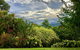 Daintree Manor B&B - thumb 2