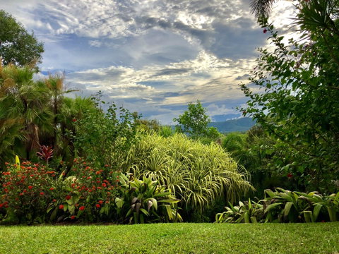 Daintree Manor B&B - Palm Beach Accommodation 2