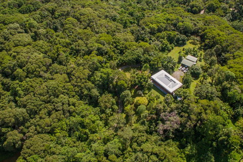 Daintree Manor B&B - Palm Beach Accommodation 14
