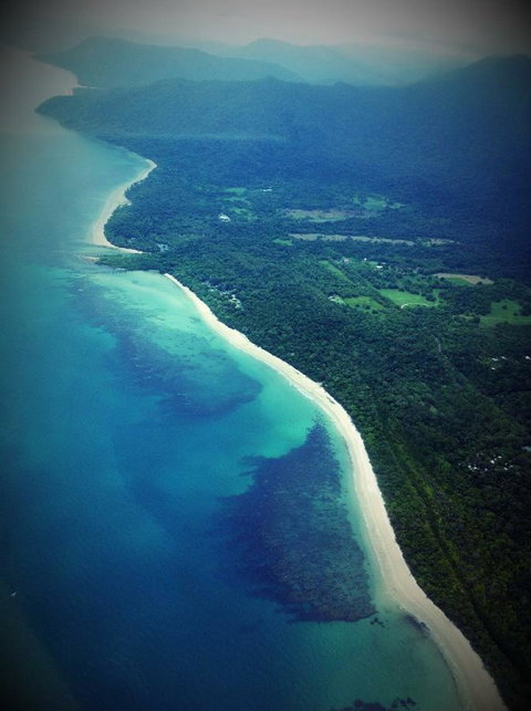 Daintree Manor B&B - Palm Beach Accommodation 11