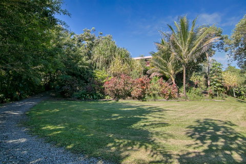 Daintree Manor B&B - Palm Beach Accommodation 19