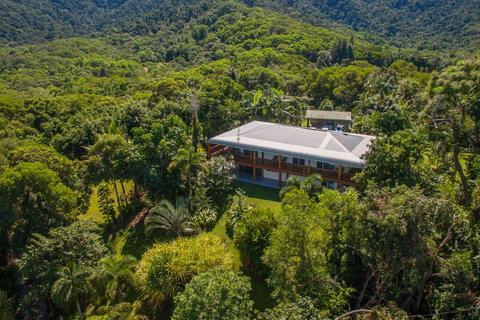 Daintree Manor B&B - Palm Beach Accommodation 27