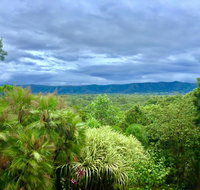 Daintree Manor BB - Palm Beach Accommodation