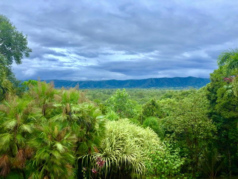 Daintree Manor B&B - Palm Beach Accommodation 0