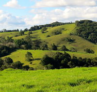 Maleny Springs Farm - Palm Beach Accommodation