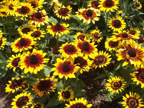 Eastgate On The Range Motel - Palm Beach Accommodation 16