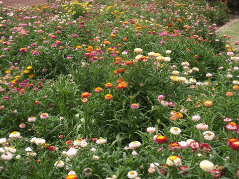 Eastgate On The Range Motel - Palm Beach Accommodation 37