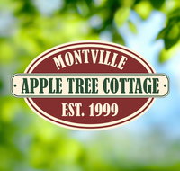 Apple Tree Cottage and Studio - Palm Beach Accommodation