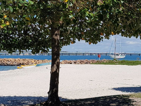 Cloud 8 On Welsby - Palm Beach Accommodation 11