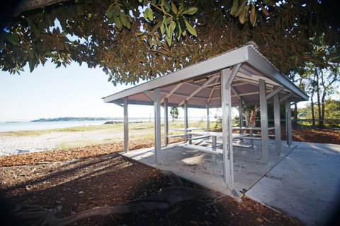 Cloud 8 On Welsby - Palm Beach Accommodation 20