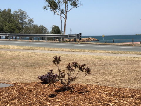 Bribie Waterways Motel - Palm Beach Accommodation 18