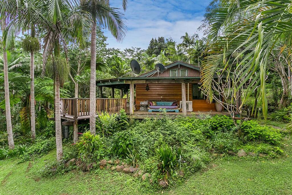 Buntine ACT Palm Beach Accommodation