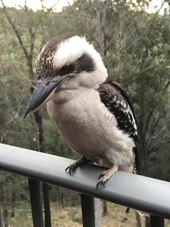 Palm Beach Accommodation