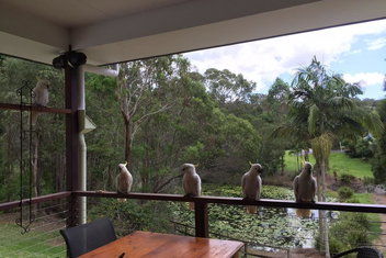 449 with Palm Beach Accommodation