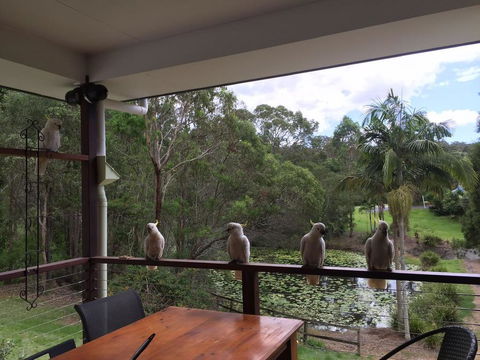 449 - Palm Beach Accommodation 0