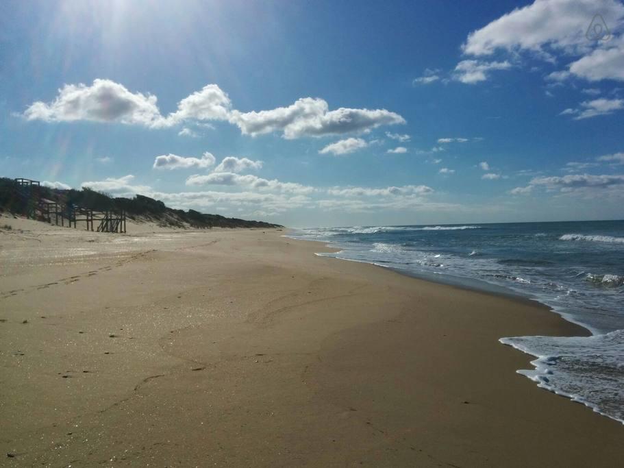 Somerton Park VIC Palm Beach Accommodation