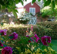 A Country Barn Retreat - Palm Beach Accommodation