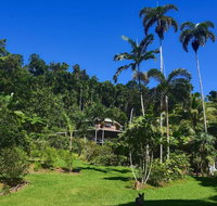 A Daintree Garden - Palm Beach Accommodation