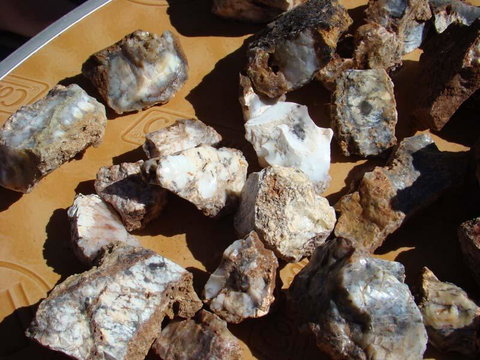 Acclaim Gateway Tourist Park - Palm Beach Accommodation 1