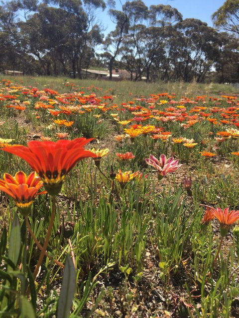 Acclaim Gateway Tourist Park - Palm Beach Accommodation 2