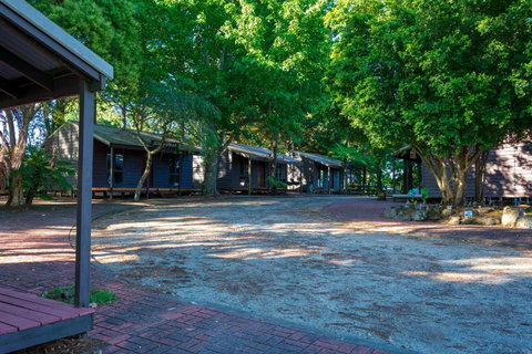 Dorrigo Mountain Holiday Park - Palm Beach Accommodation 2