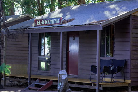 Dorrigo Mountain Holiday Park - Palm Beach Accommodation 4