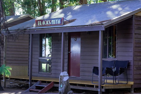 Dorrigo Mountain Holiday Park - Palm Beach Accommodation 1
