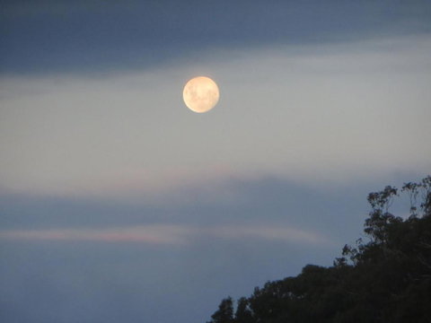 Eildon Parkview Motor Inn Room 8 - Palm Beach Accommodation 2