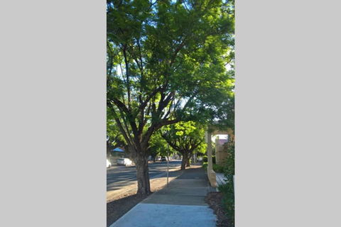 Gawler Heritage Accommodation - Palm Beach Accommodation 1