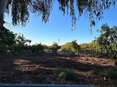 House By The Vines - Palm Beach Accommodation 0