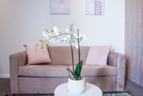Ideal Cozy 1BR For Your Urban Escape In Gabba - Palm Beach Accommodation 2