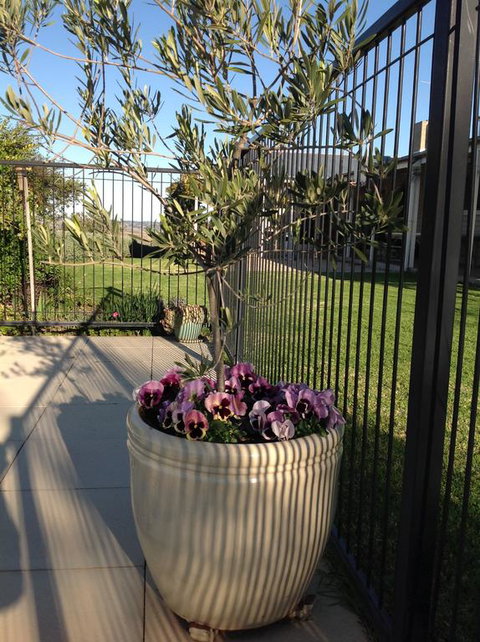 Amazing Views Pet Friendly Bed And Breakfast - Palm Beach Accommodation 3