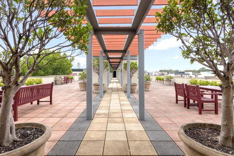 Nesuto Chippendale - Palm Beach Accommodation 0
