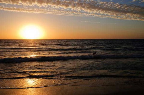 Ocean View Motel - Palm Beach Accommodation 0