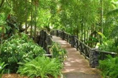 Paddington Pad With Back Deck And Free Car Space Close To Suncorp - Palm Beach Accommodation 2