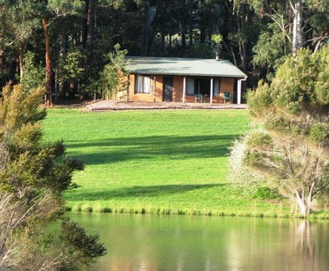 Pemberton Lake View Chalets - Palm Beach Accommodation 3