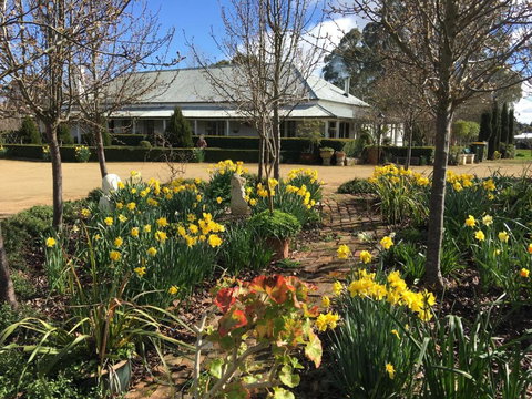 Petschel House - Palm Beach Accommodation 1