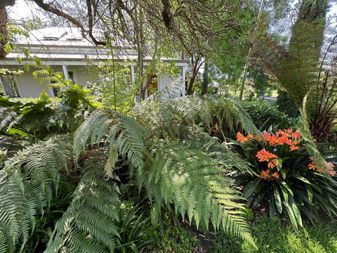 Petschel House - Palm Beach Accommodation 3