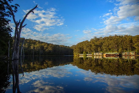 RAC Karri Valley Resort - Palm Beach Accommodation 3