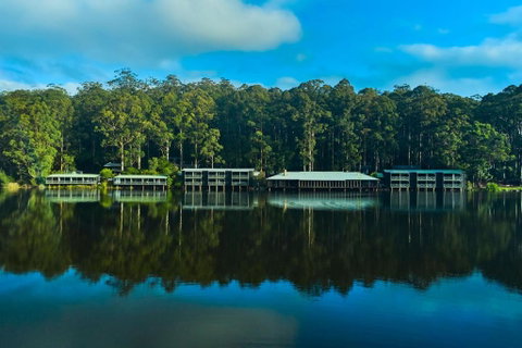 RAC Karri Valley Resort - Palm Beach Accommodation 2