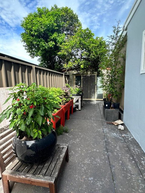 Private, Local Living Studio In Mascot, Airport - Palm Beach Accommodation 2