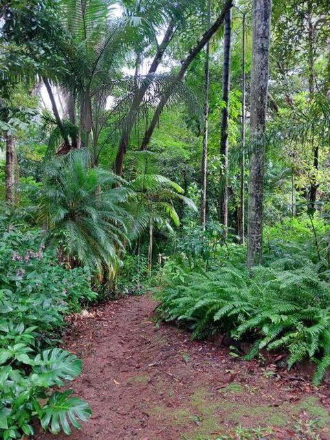 Rainforest Retreat-Fireplace-BBQ-3 Acres- - Palm Beach Accommodation 0