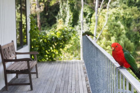 At Riverside - Palm Beach Accommodation 3